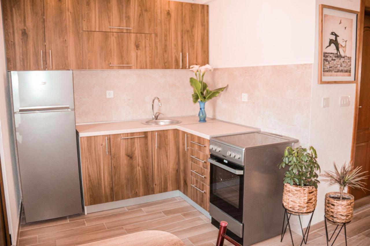 Apartmani Dumezic バール エクステリア 写真