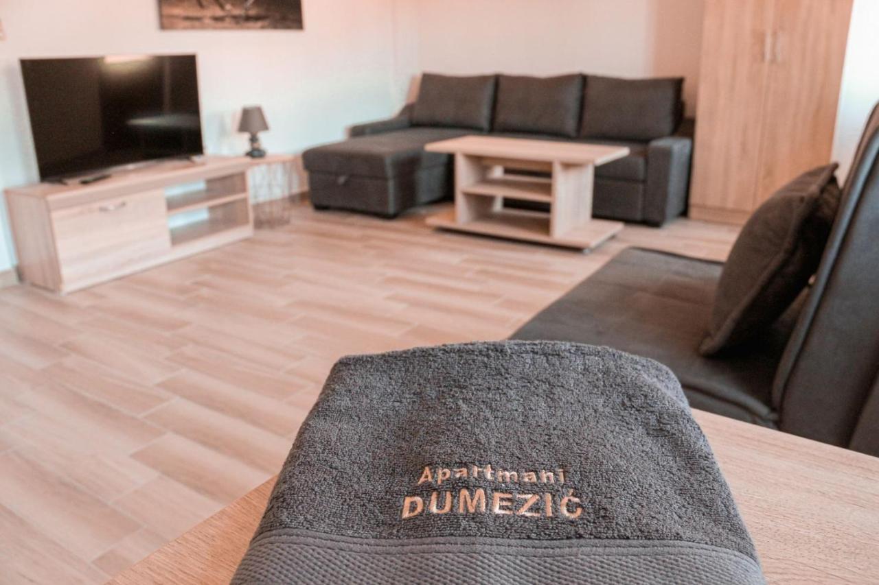 Apartmani Dumezic バール エクステリア 写真