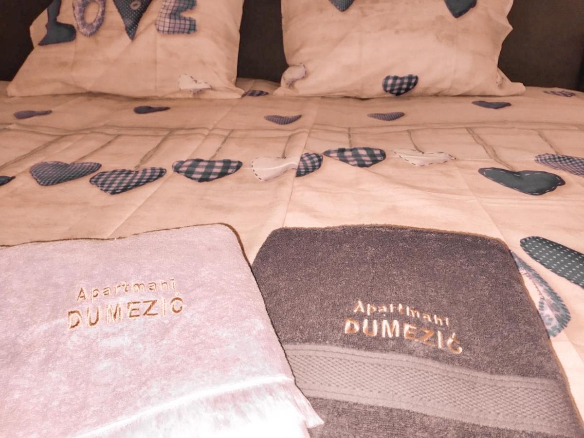 Apartmani Dumezic バール エクステリア 写真