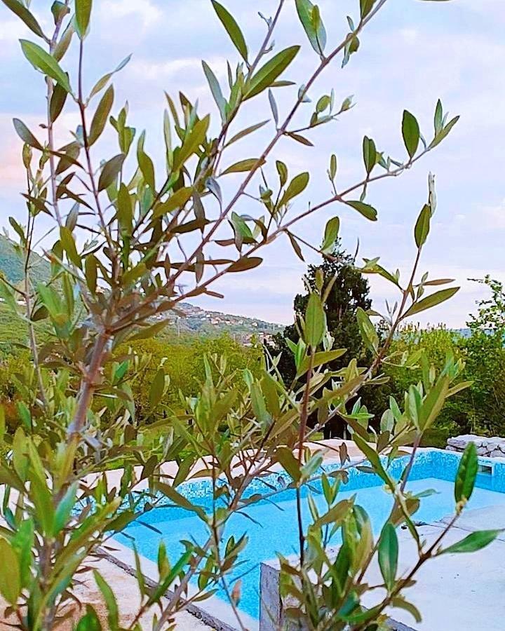 Apartmani Dumezic バール エクステリア 写真